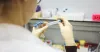 The post Coronavirus world-How will visual guides assume a vital part in showcasing? | Professional Carpentry