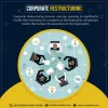 Ipo consultants in Delhi 