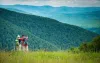Travel Tips For Your Great Florida Vacation - Outside Hiking