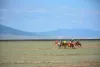 5 Tips To Choose The Best Horseback Riding Resort - License To Blog
