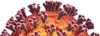   	Anti-Quail Wing Bud Zone Of Polarizing Activity monoclonal antibody (DMAB9337)  - Creative Diagnostics  