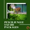3 Easy Steps for an Amazing Tadoba Trip from Bangalore 