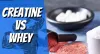 Creatine vs Whey Protein: What Is It &amp; Should You Be Using It?