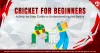 Cricket For Beginners: A Step-By-Step Guide To Understanding The Basics - Vision11 Blog