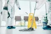 Unveiling the Advantages of Professional Cleaning Services!