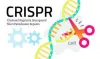 CRISPR Technologies