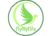 flyhylife - The Roadmap to a Vibrant Life