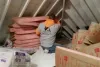 Attic insulation near me