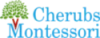 Best Playschool in Bangalore | Preschool | Cherubs Montessori