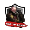 Counter Strike 2 Premier Accounts – WAYTOSMURF