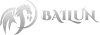 Белая доставка грузов из Китая - Вailun | Логистическая компания полного цикла по работе с Китаем