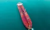 Ship Surveying And Inspection, Pre-Vetting Inspections, Bunker Quantity Survey