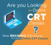 CRT Training-BRAINWIZ