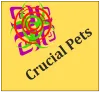 Crucial Pets - Discover Connection Between Humans and Pets