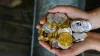Best Crypto Exchanges for Margin Trading You Should Know About 