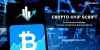 Crypto HYIP script | Bitcoin HYIP script | Pulsehyip