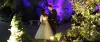 Kosher Catering NJ | Best Kosher Caterers NJ | Classical Caterers