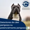 Cães de raçã perigosa ou potencialmente perigosa