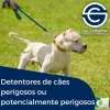 ø Curso Detentores De Cães Perigosos Ou Potencialmente Perigosos-DCP ø | Sala Criativa