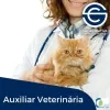 ø Curso Auxiliar de Veterinária ø | Sala Criativa
