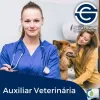 ø Cursos E Learning ø | Sala Criativa