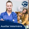 ø Curso Auxiliar de Veterinária ø | Sala Criativa