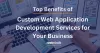 Custom Web App Development: Boost Efficiency &amp; Growth
