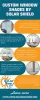 Custom Window Shades Infographic