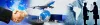 Customs and Clearing Agents