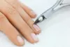 What is Cuticle and What You Need to Know About Cuticle Nipper