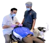Dental Implants in Gurgaon