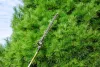 How to Use a Long Pole Saw Correctly 