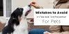 Mistakes to Avoid in Flea and Tick Prevention for Pets - CanadaVetCare Blog