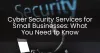 Cyber Security Services for Small Businesses: What You Need to Know - Washington Post News