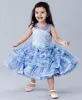 Baby Girl Party Wear Dresses