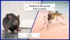 Various Diseases Carried by Rodents and Mosquitoes and their Prevention