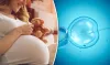  Understand the Facts of IVF Treatment