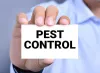 Untitled — How Do Pest Control Companies Play A Vital Role To...