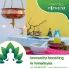 Ayurvedic Treatment in Himalaya at Cottage Nirvana: Why Do People Need Some Occasional Weekend Gateways?