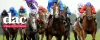 Equine Probiotics