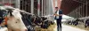Cattle Feed Plant India | Lark Engineering