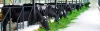 Animal Husbandry | Rising Root- Agriculture consultants