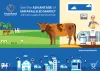 Blockchain in dairy industry the game changer? - Tracefood.io