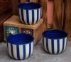 Soup Bowls - Buy Ceramic Soup Bowl Set Online in India @55% OFF - Wooden Street