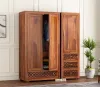 Modern Almirah Designs for Contemporary Homes