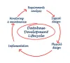 Database Development - Database Application Development