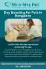 day_boarding_for_pets_in_bangalore.jpg