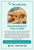 day_boarding_for_pets_in_delhi.jpg