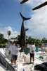 South Florida swordfish charters