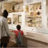Museum Contractor